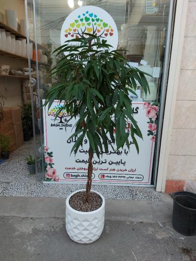 عکس گل فروشی باغ شیشه