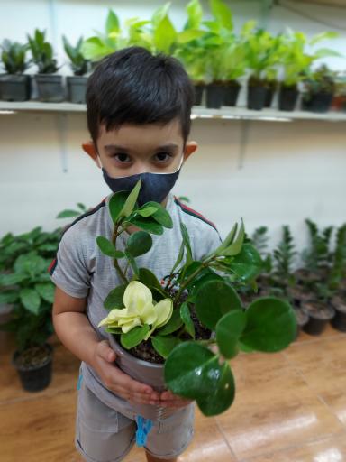 عکس گل فروشی باغ شیشه