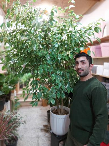 عکس گل فروشی باغ شیشه