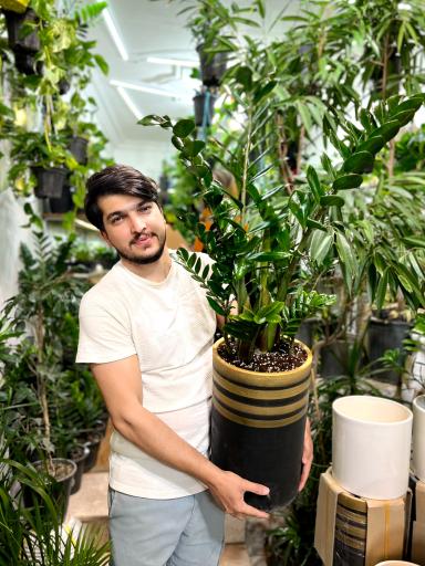 عکس گل فروشی باغ شیشه