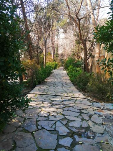 عکس باغ ظهیرالدوله