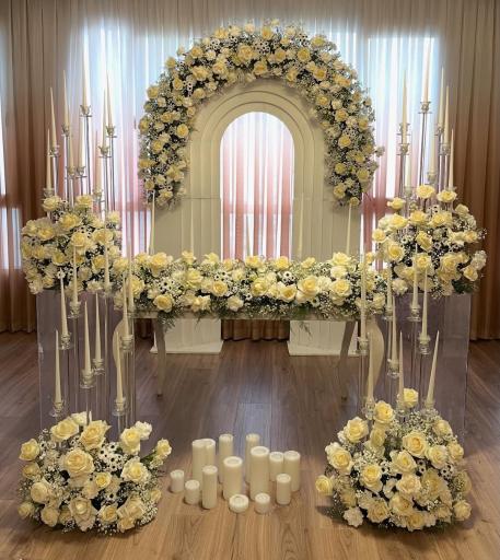 عکس فستیوال سیستم