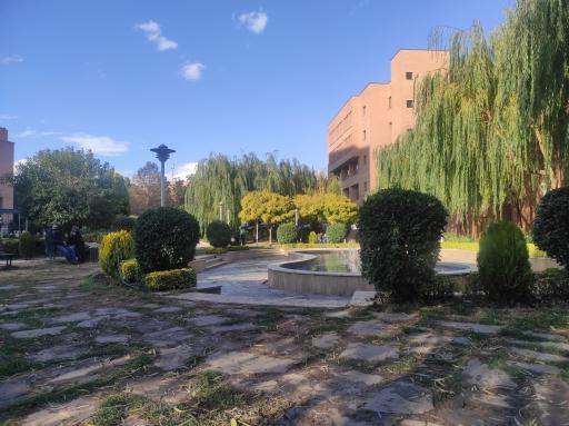 عکس حلقه کامپیوتر