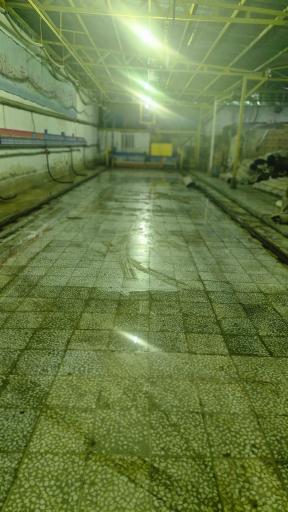 عکس قالیشویی المپیک قم