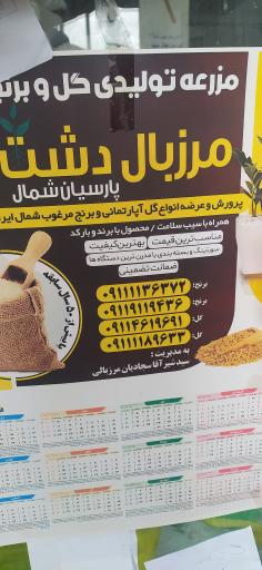 عکس مرزبال دشت پارسیان شمال