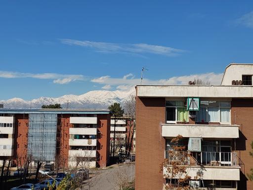 عکس شهید شجاعی بلوک ۱۵۳