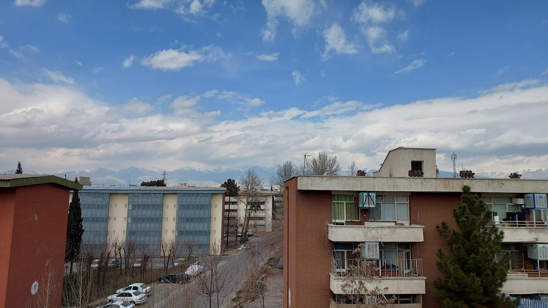 عکس شهید شجاعی بلوک ۱۵۳