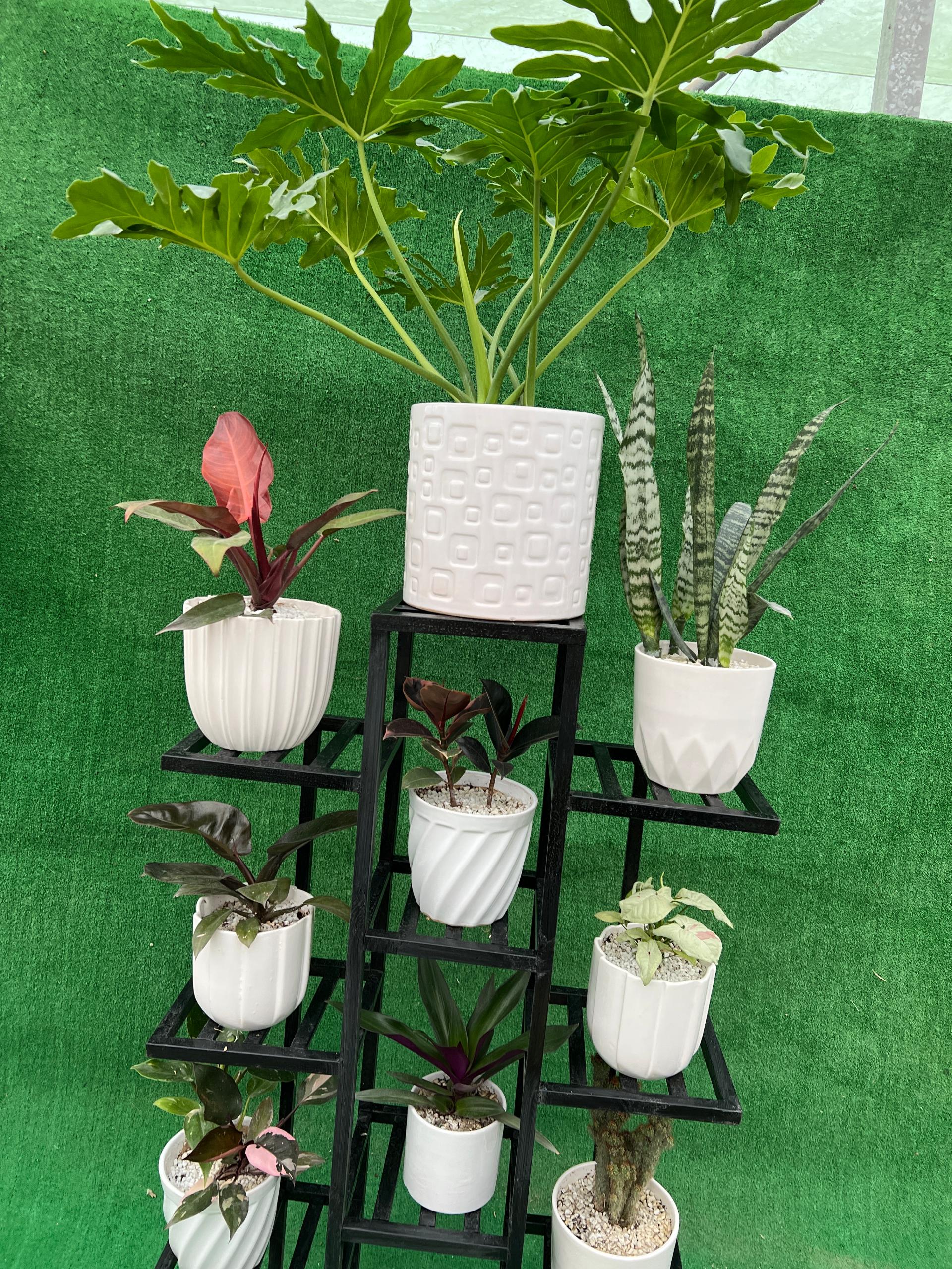 عکس گلخانه خورشید