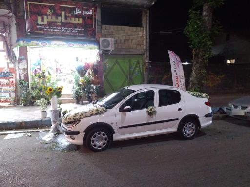 عکس قصر گل ستایش