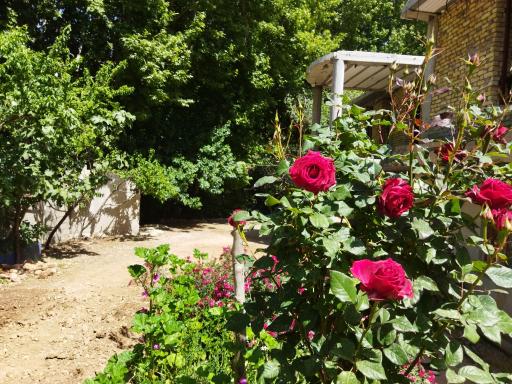 عکس باغ تفریحی مسیح پور