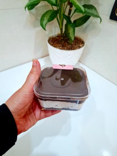 عکس بستنی سنتی علی 