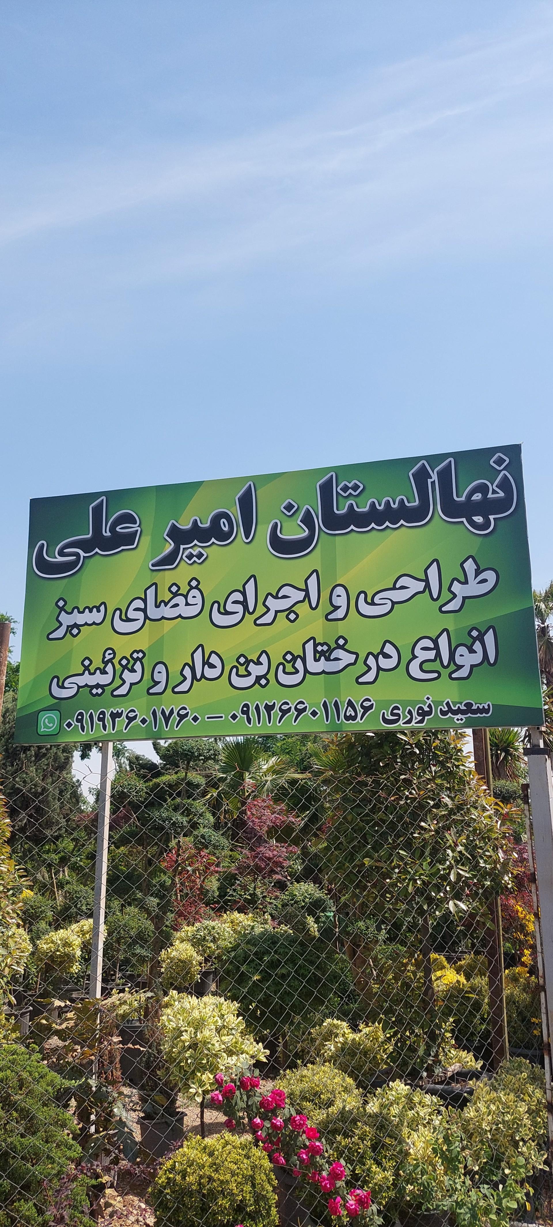 عکس نهالستان امیرعلی