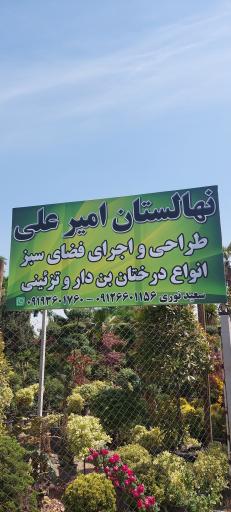 عکس نهالستان امیرعلی