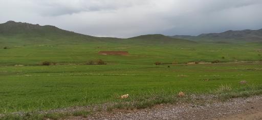 عکس باروق