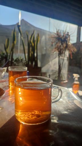 عکس کافه دژاوو