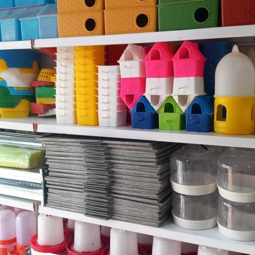 عکس پرنده فروشی