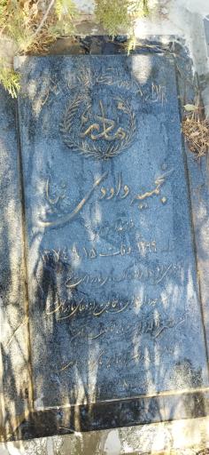 عکس مزار نجمیه داودی نیا