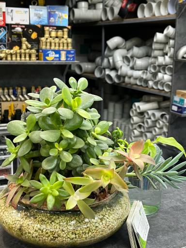 عکس فروشگاه تاسیسات فرطوس