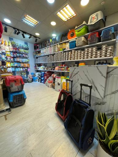 عکس پت شاپ سیمرغ