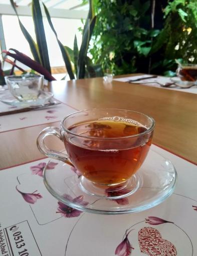 عکس کافه رستوران ایتالیایی و فرانسوی تژه