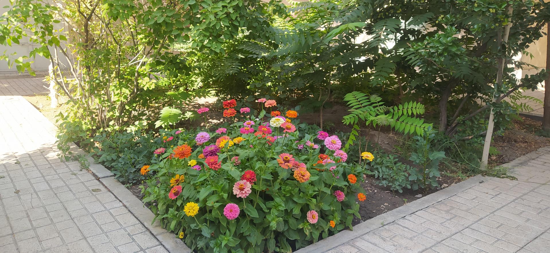 عکس سالن مطالعه و کتابخانه تخصصی ریحانه