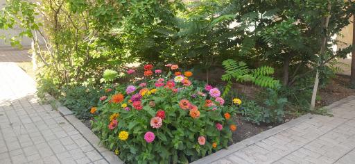 عکس سالن مطالعه و کتابخانه تخصصی ریحانه