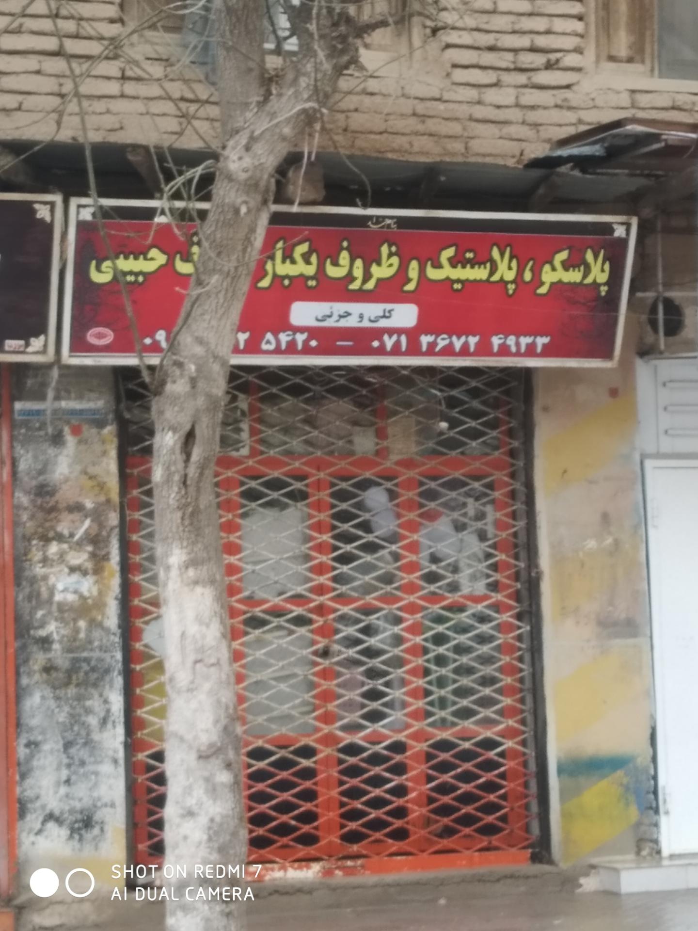 عکس پلاسکو حبیبی