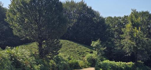 عکس بام سرچشمه