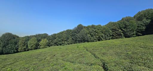 عکس بام سرچشمه