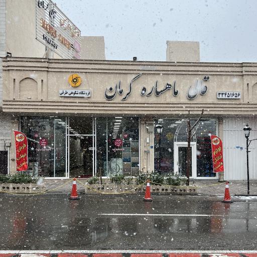 عکس فرش ماهساره