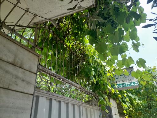 عکس دفتر وکالت دکتر امیرحسین مهرگان