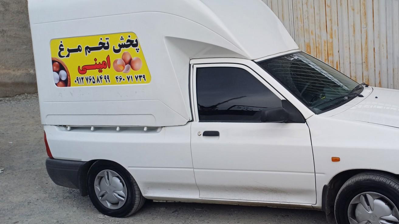عکس پخش تخم مرغ امینی