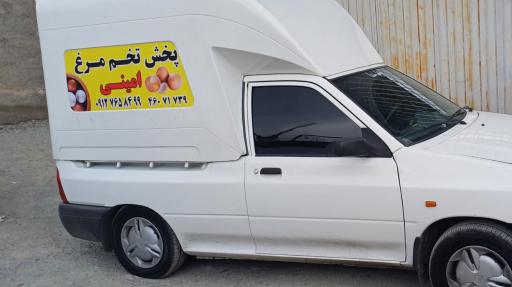 عکس پخش تخم مرغ امینی