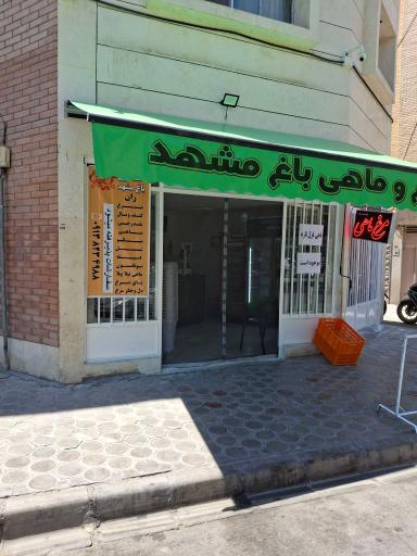 عکس مرغ و ماهی باغ مشهد