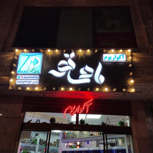 آکواریوم ماهی تو