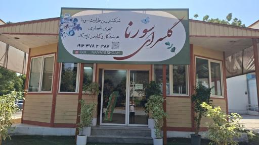 عکس گل سرای سورنا