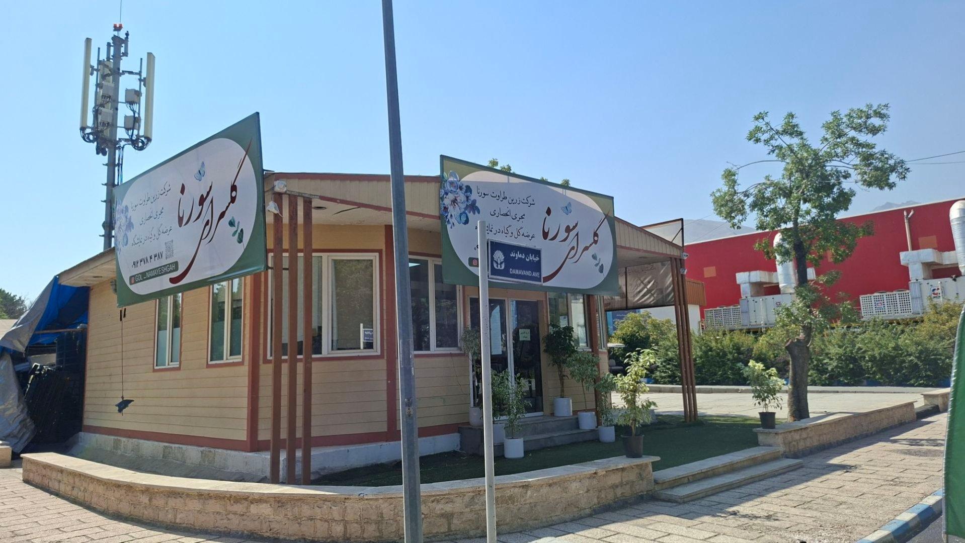 عکس گل سرای سورنا