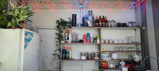 عکس کافه میلا