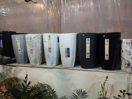 عکس گلخانه گل رز