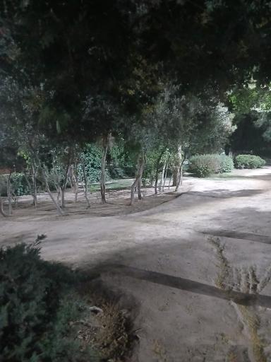 عکس پارک گلستانه