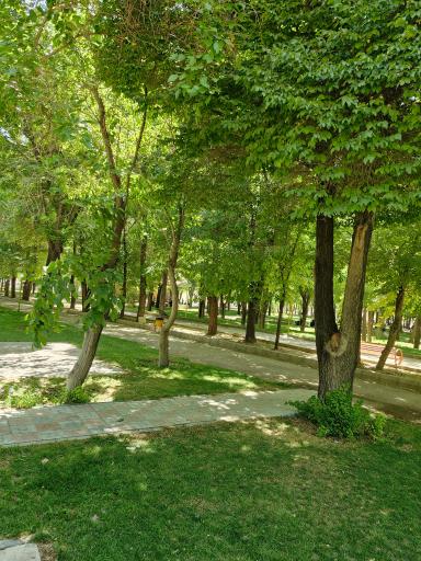 عکس پارک ملت بروجن