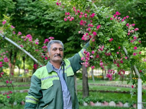 عکس پارک ملت بروجن