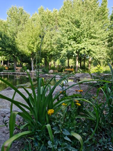 عکس پارک ملت بروجن