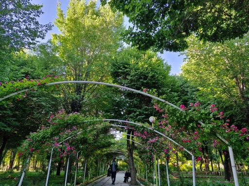 عکس پارک ملت بروجن