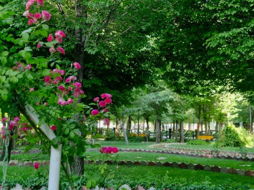 عکس پارک ملت بروجن