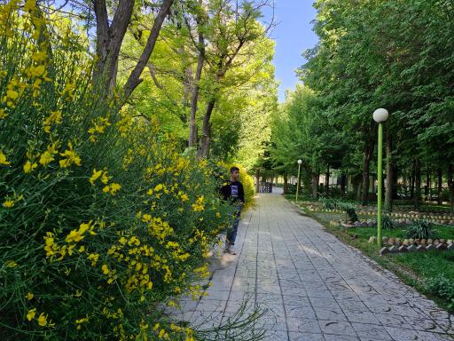 عکس پارک ملت بروجن