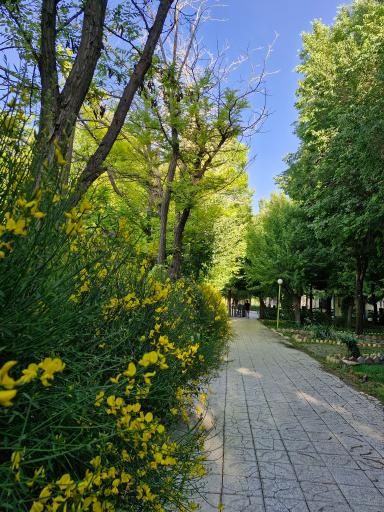 عکس پارک ملت بروجن