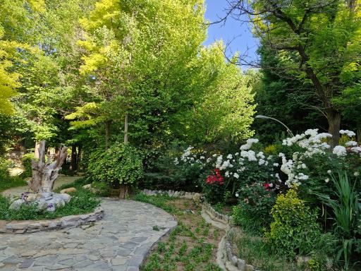 عکس پارک ملت بروجن