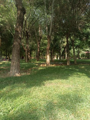 عکس پارک ملت بروجن