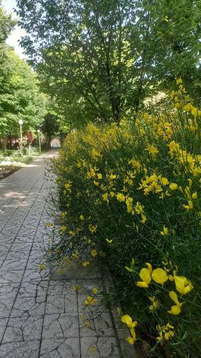 عکس پارک ملت بروجن